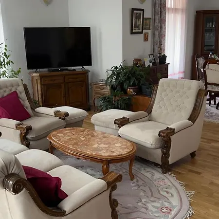 Comfy Apartment